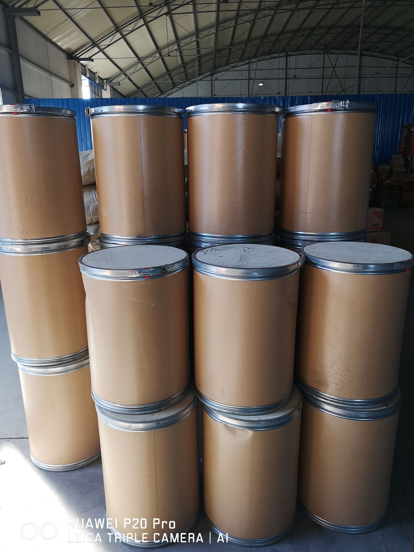 熱應激對豬(zhu)隻生産性能(néng)的影響